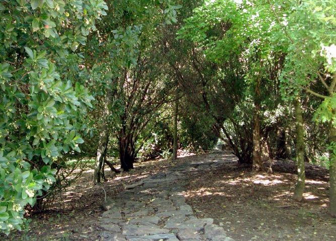 Coria Botanical Garden, Spain